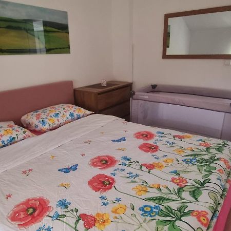 Apartmani Bilic 코레니카 외부 사진